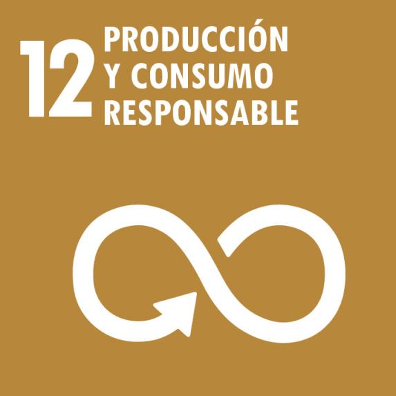 SDG 12 - Responsible production and consumption