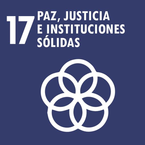 SDG 17 - Partnerships to achieve the goals